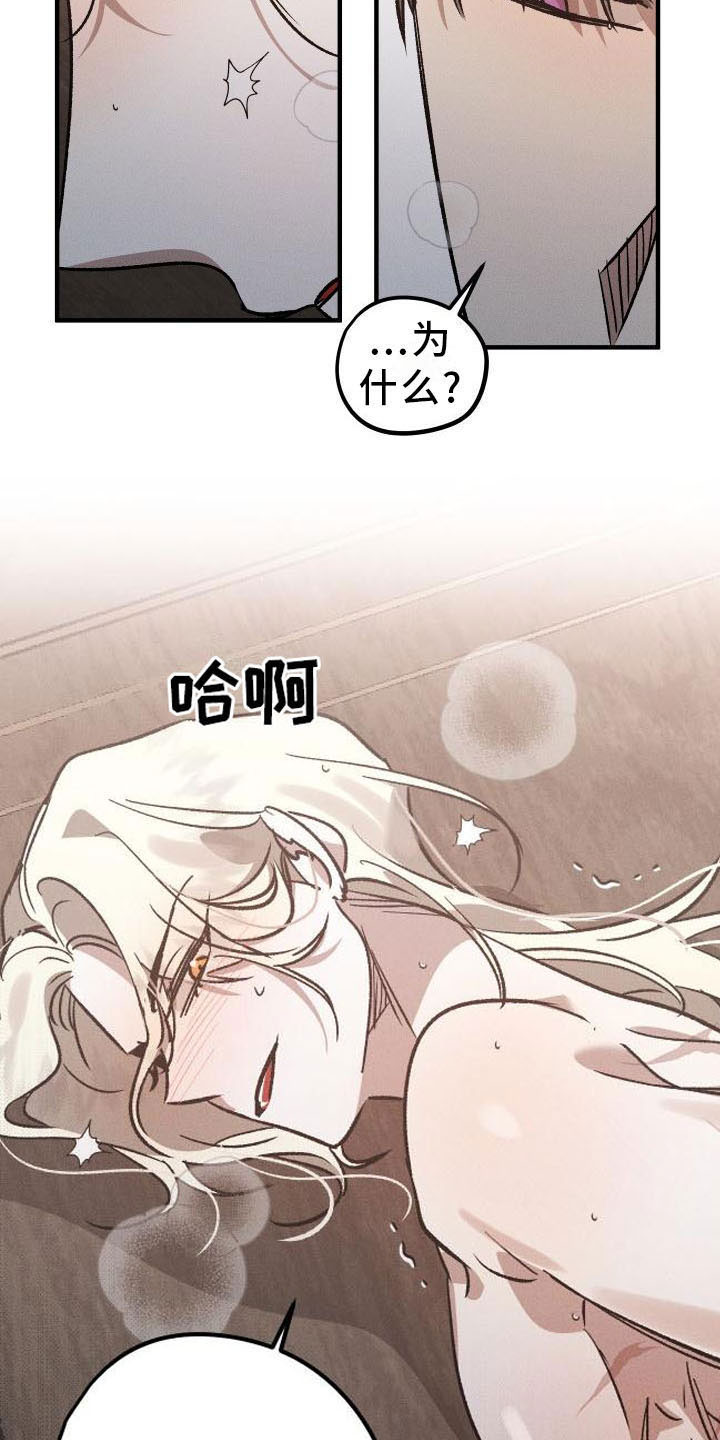 第9章：薰衣草花园：主人9