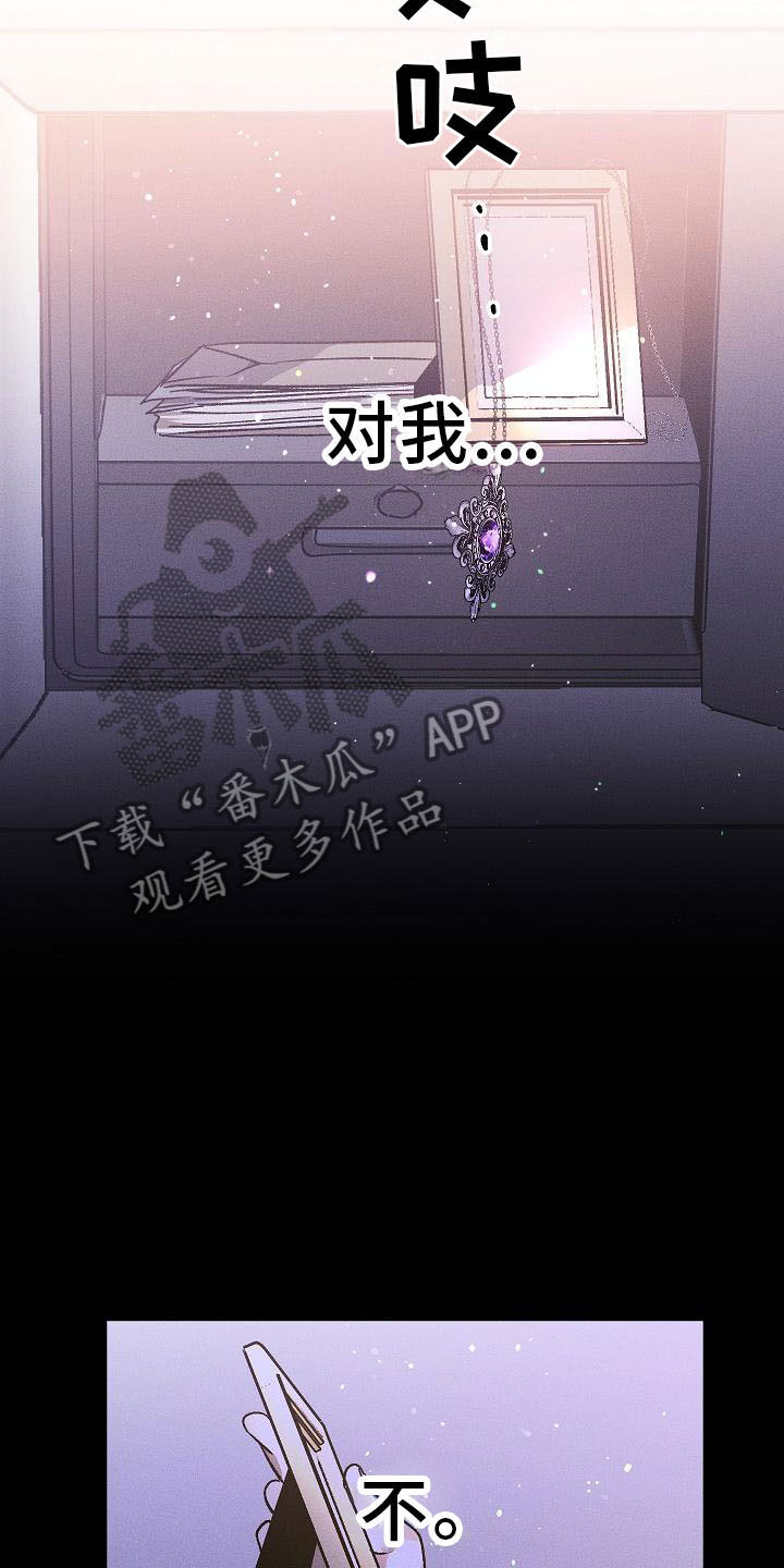 第4章：薰衣草花园：盗窃17
