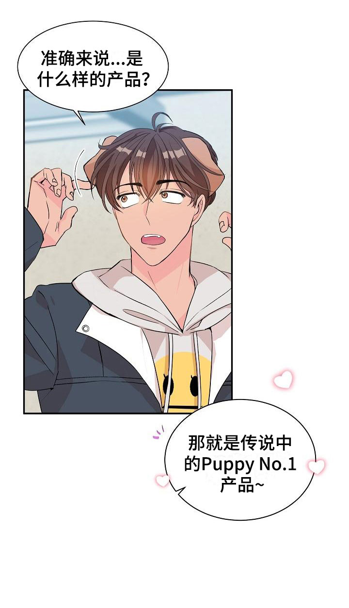 第20章：我的狗男孩：产品试用9