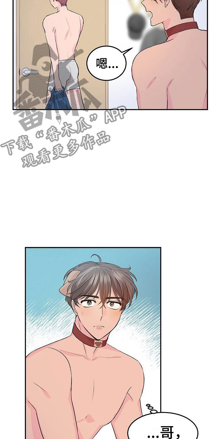 第24章：我的狗男孩：冷漠21