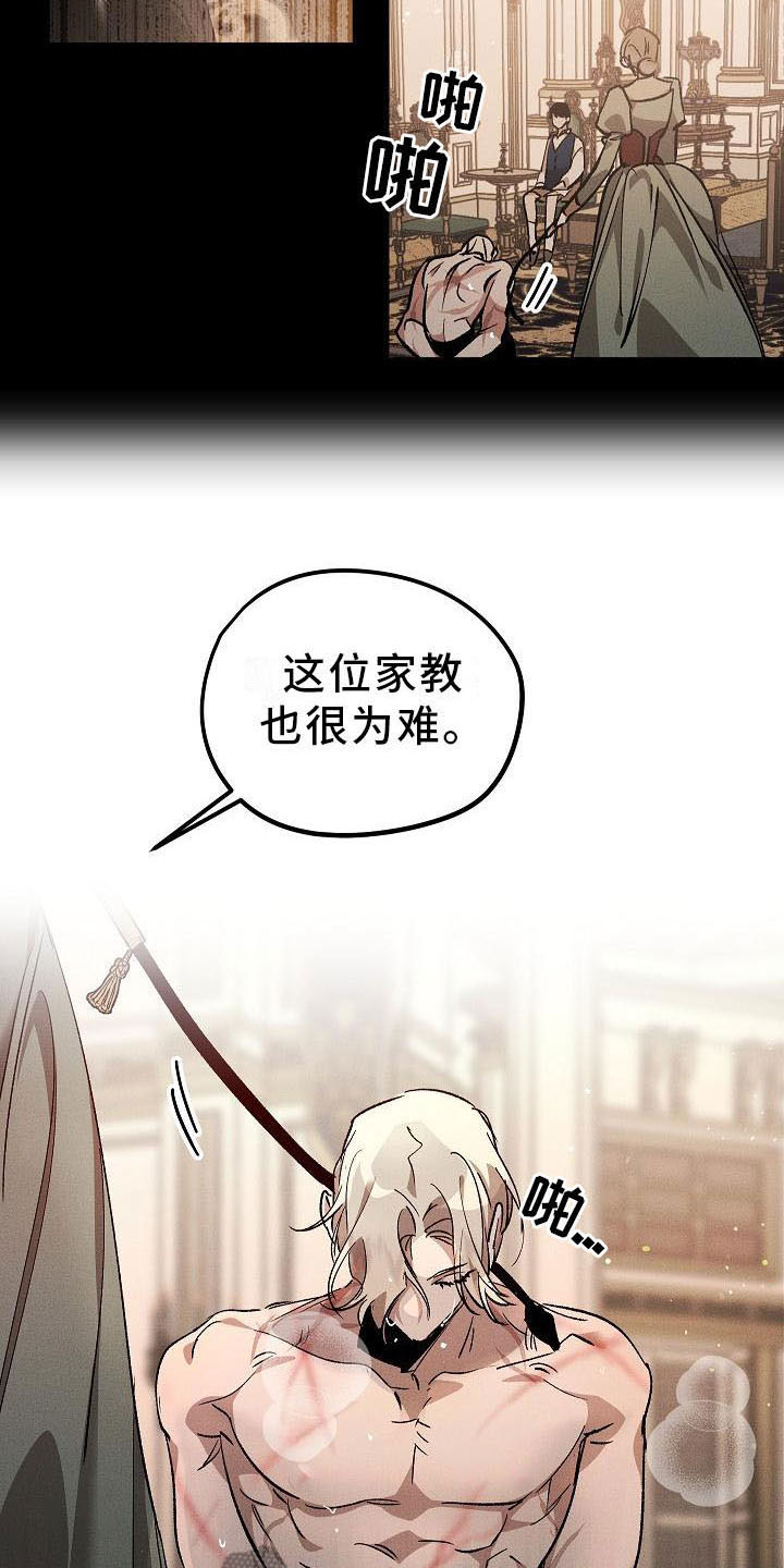 第5章：薰衣草花园：鞭打14