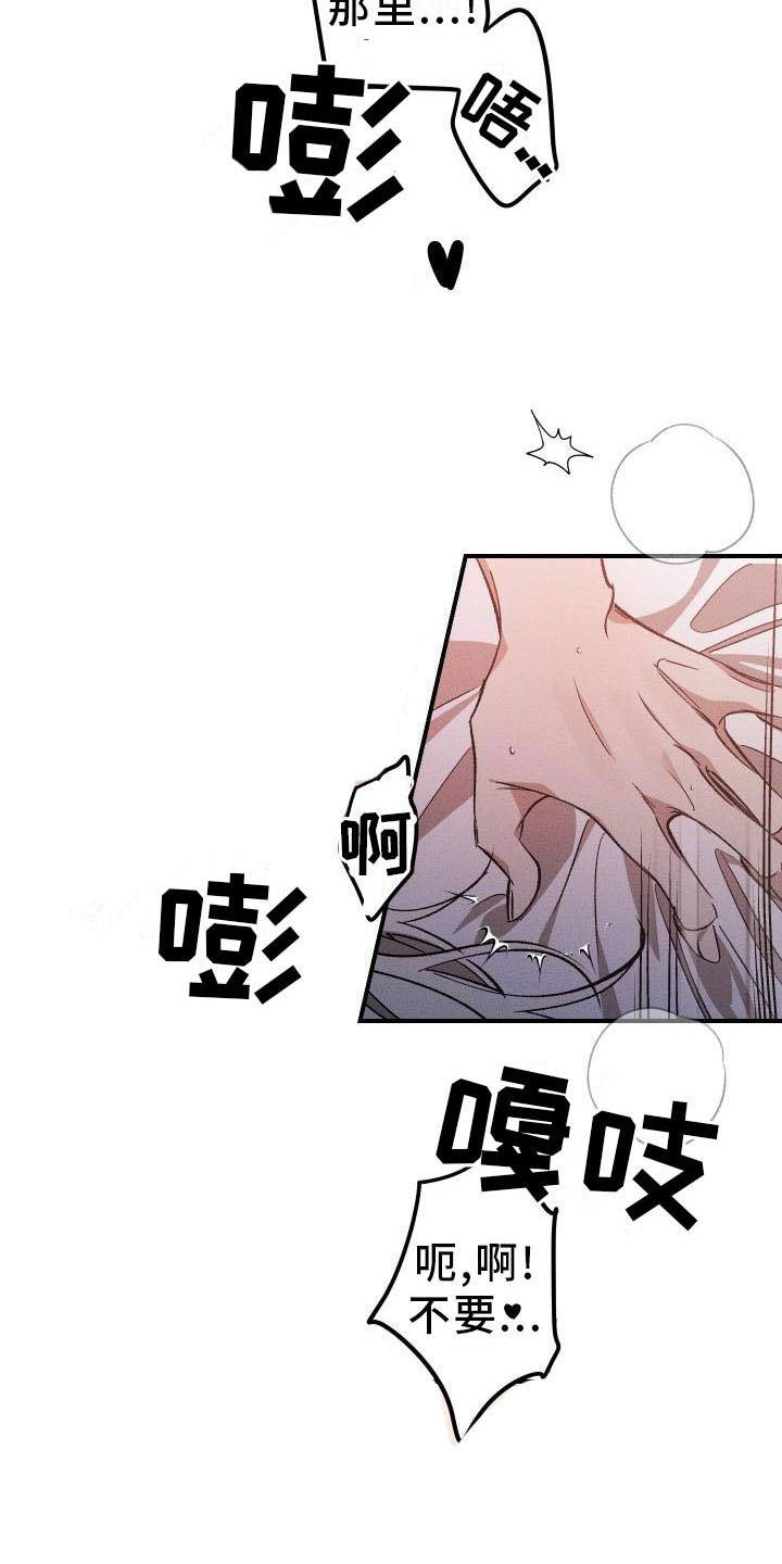 第12章：薰衣草花园：喜欢16
