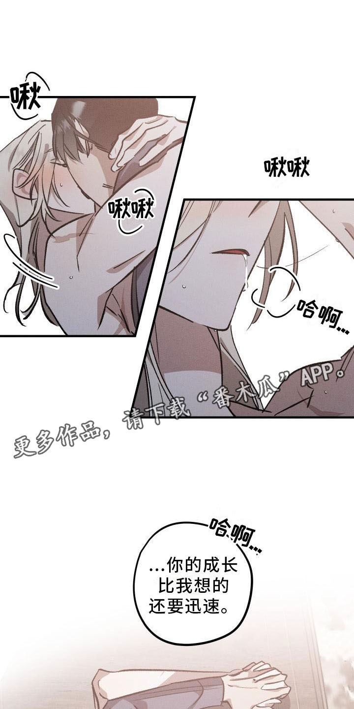 第11章：薰衣草花园：挽留0