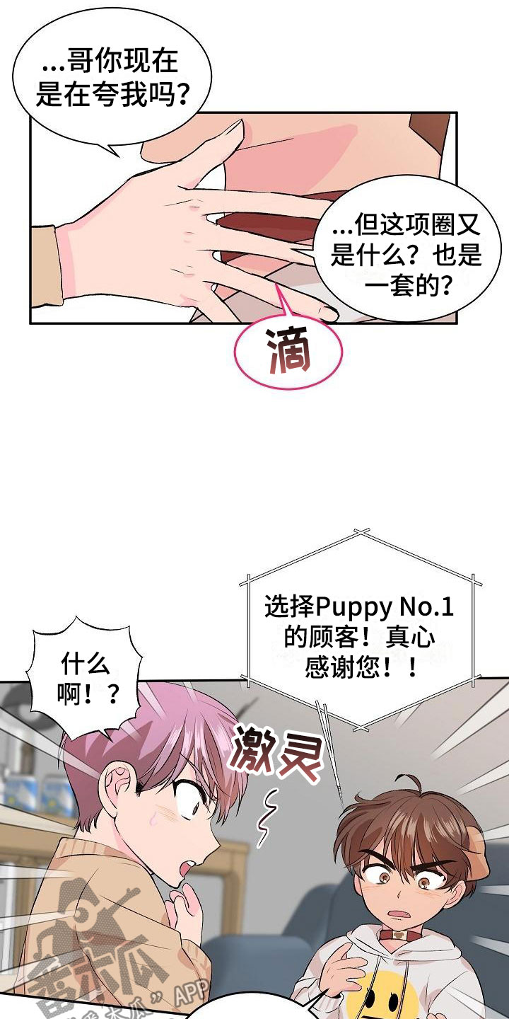 第21章：我的狗男孩：失控11
