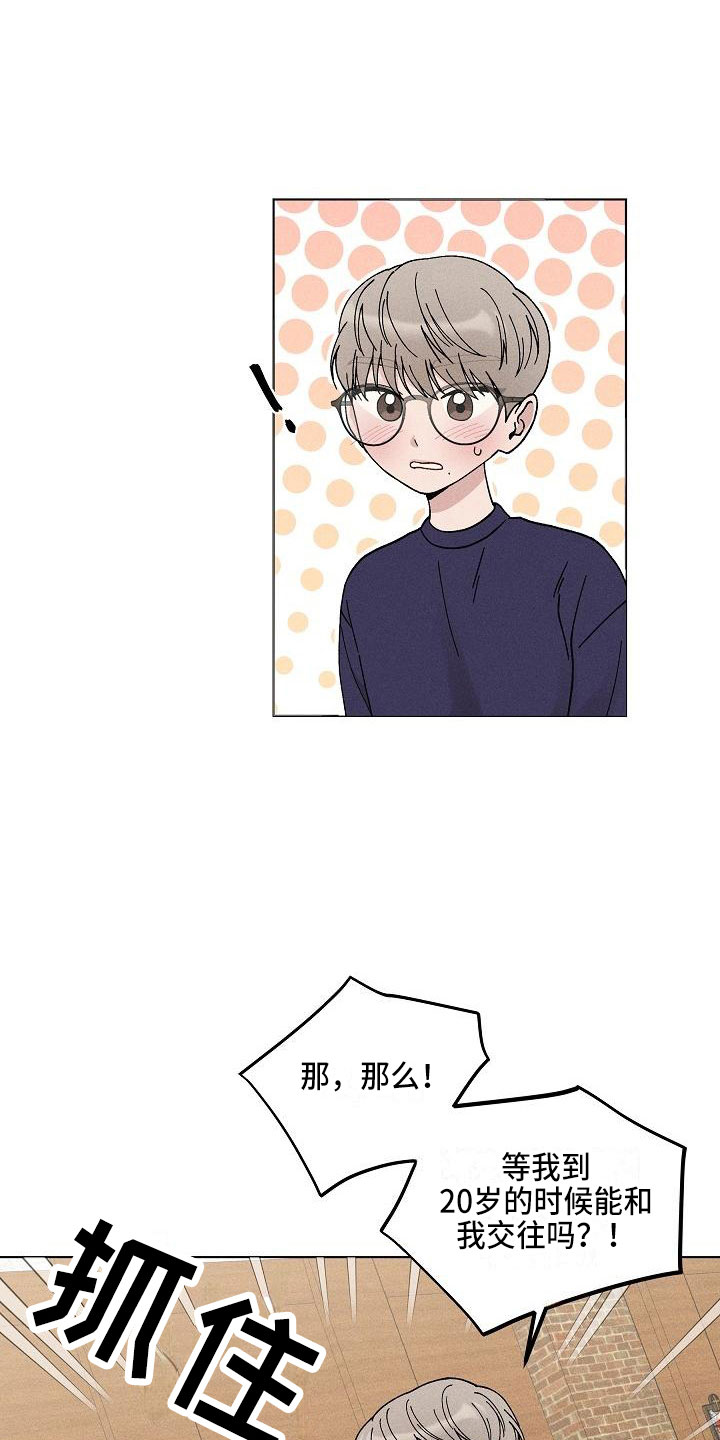 第15章：你偷走了我的心：玩具11
