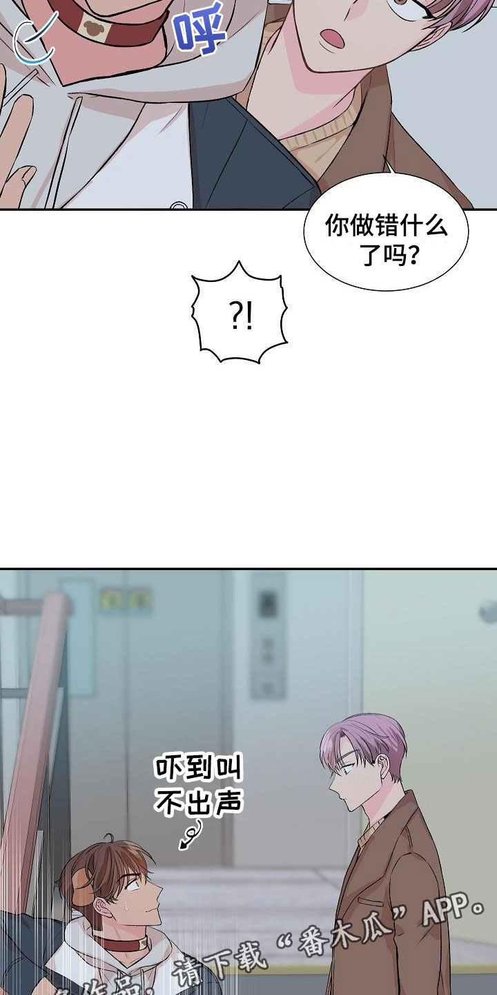 第20章：我的狗男孩：产品试用24