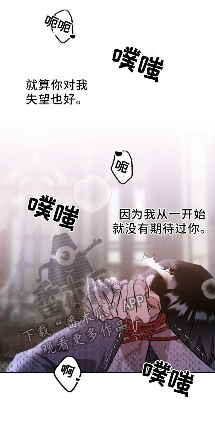 第10章：薰衣草花园：出乎意料5