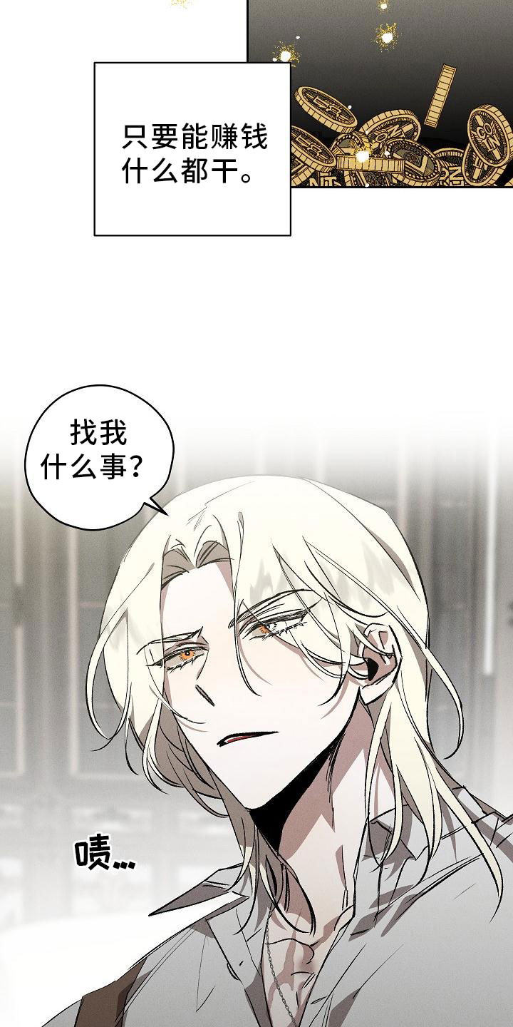 第1章：薰衣草花园：紫宝石11