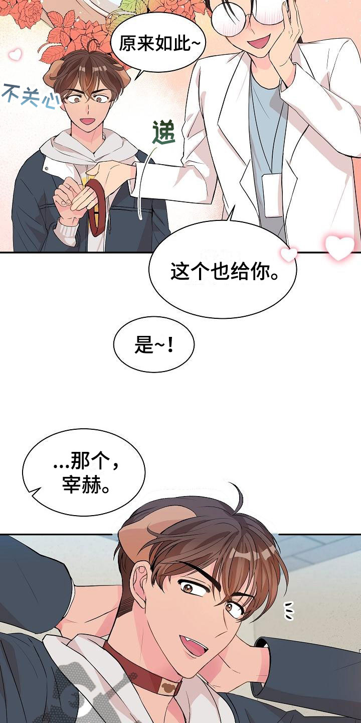 第20章：我的狗男孩：产品试用11