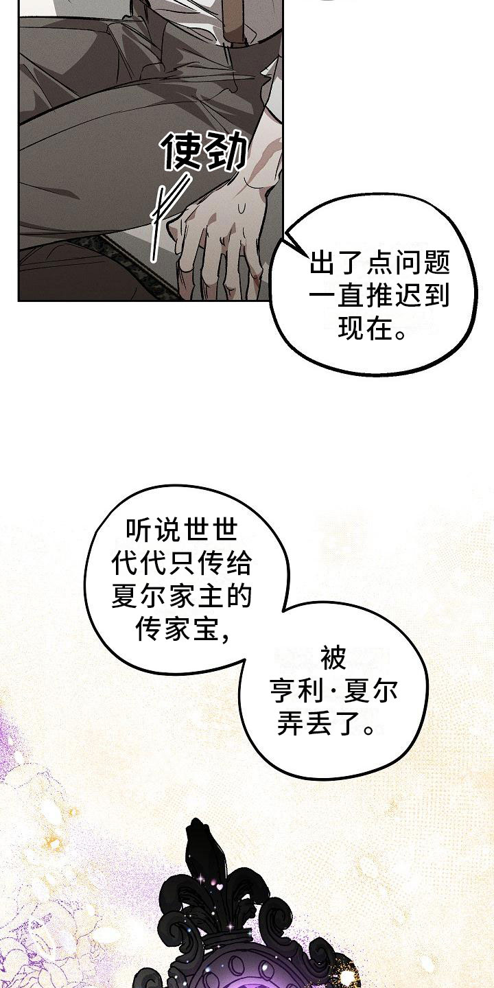 第1章：薰衣草花园：紫宝石17