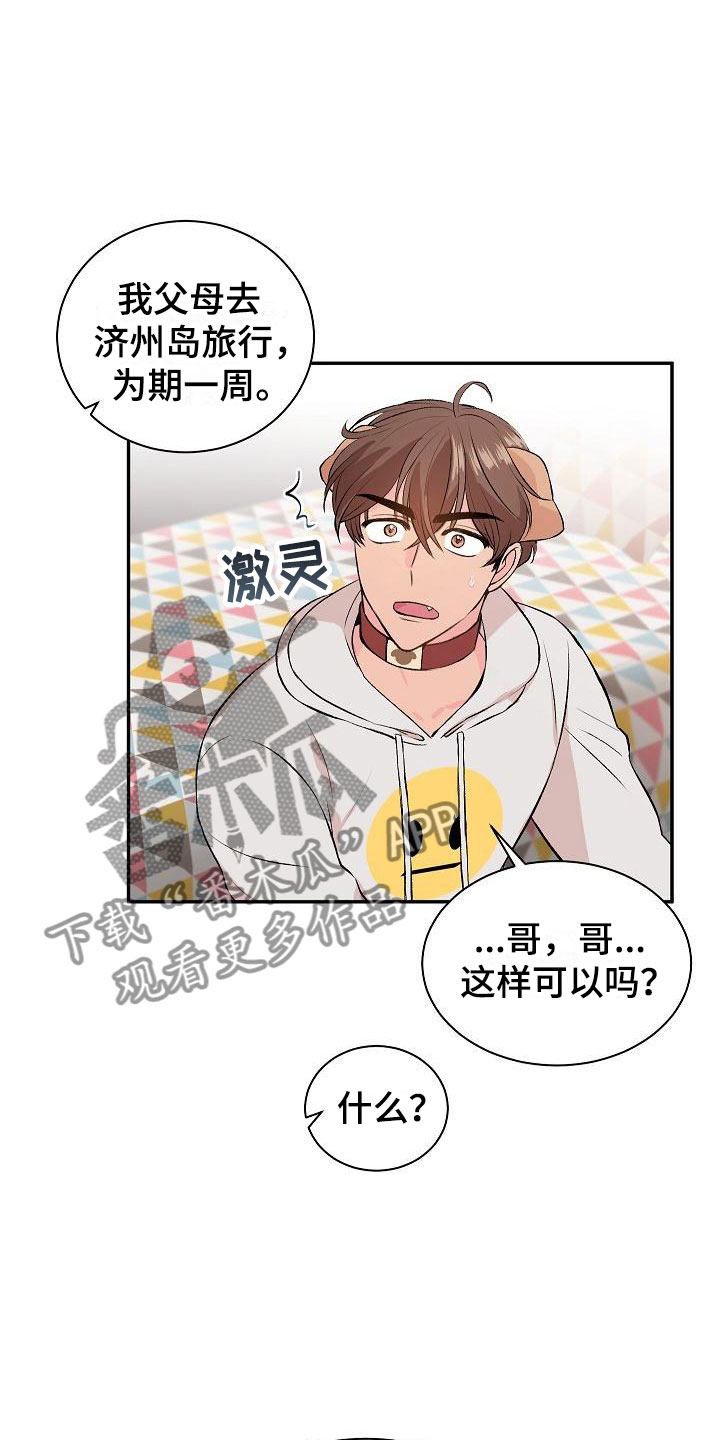 第21章：我的狗男孩：失控7