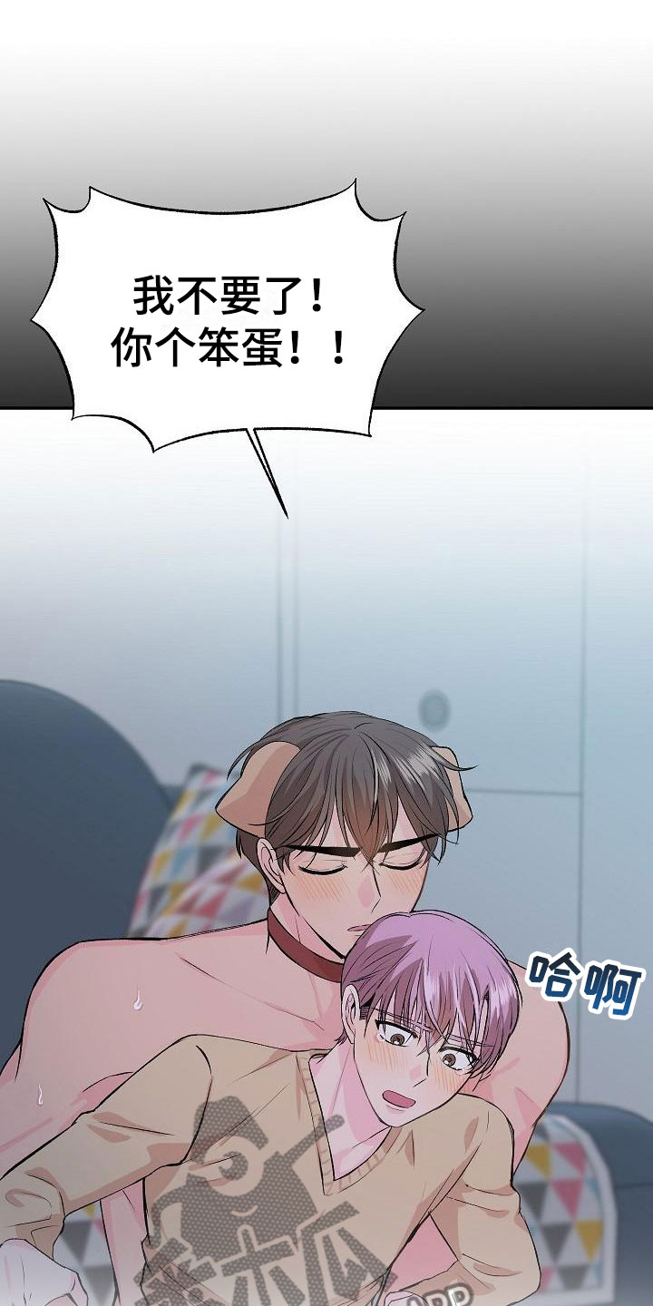 第23章：我的狗男孩：使用说明8