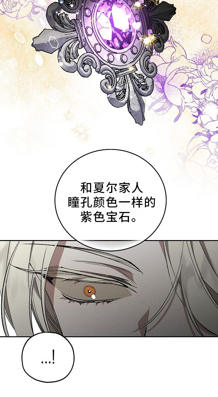 第1章：薰衣草花园：紫宝石18