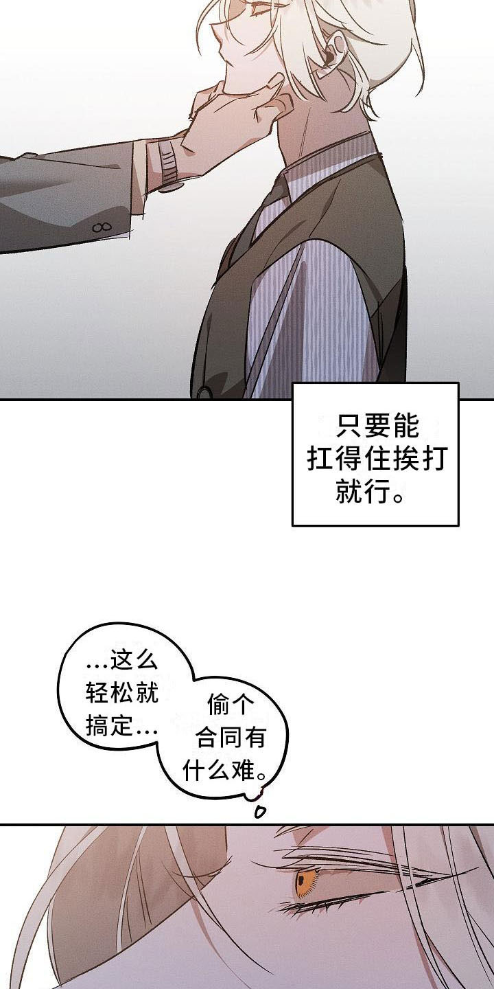 第4章：薰衣草花园：盗窃5