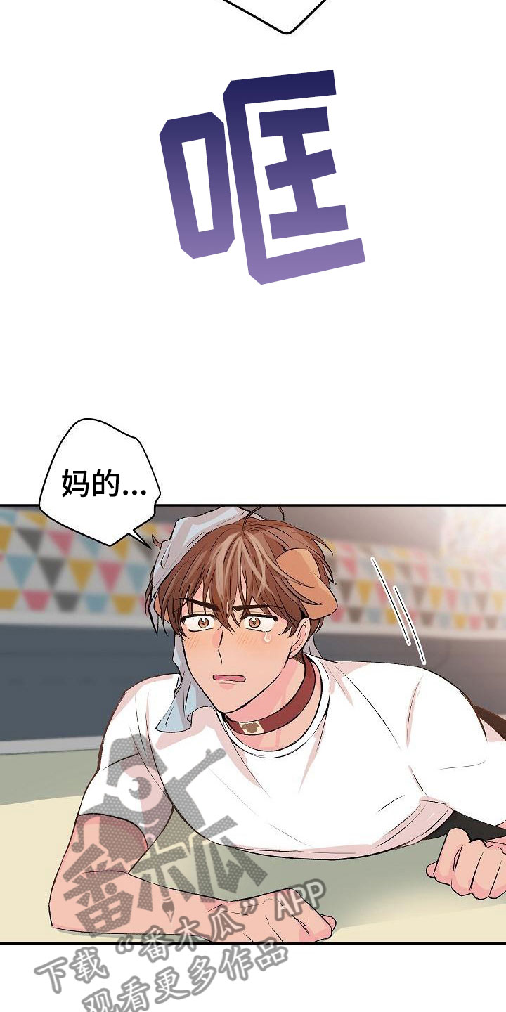 第25章：我的狗男孩：男朋友20