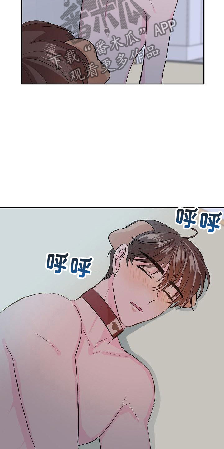 第23章：我的狗男孩：使用说明15
