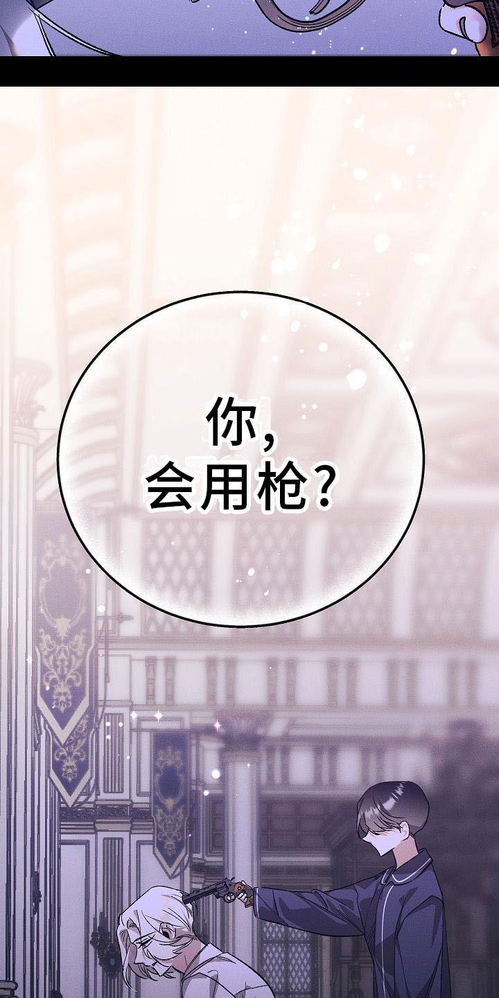 第4章：薰衣草花园：盗窃20