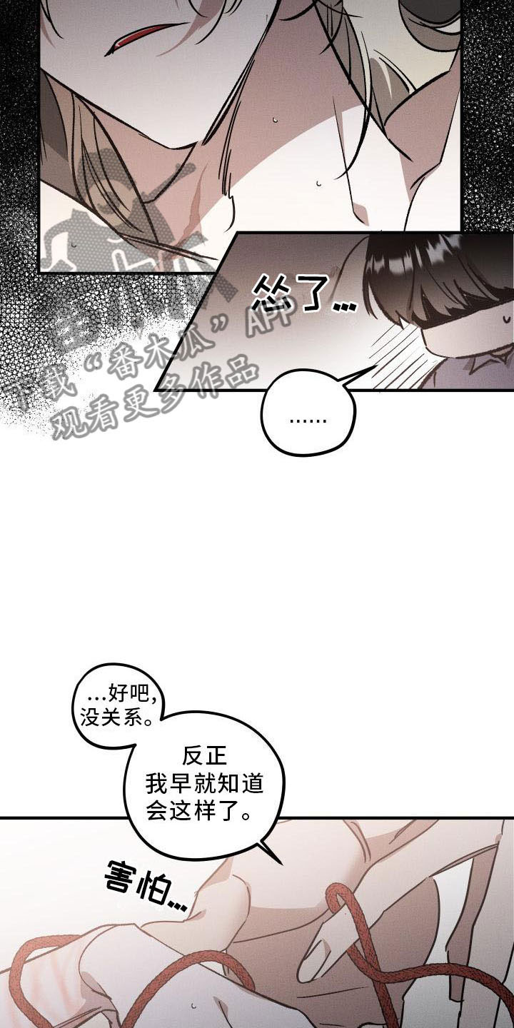 第10章：薰衣草花园：出乎意料14