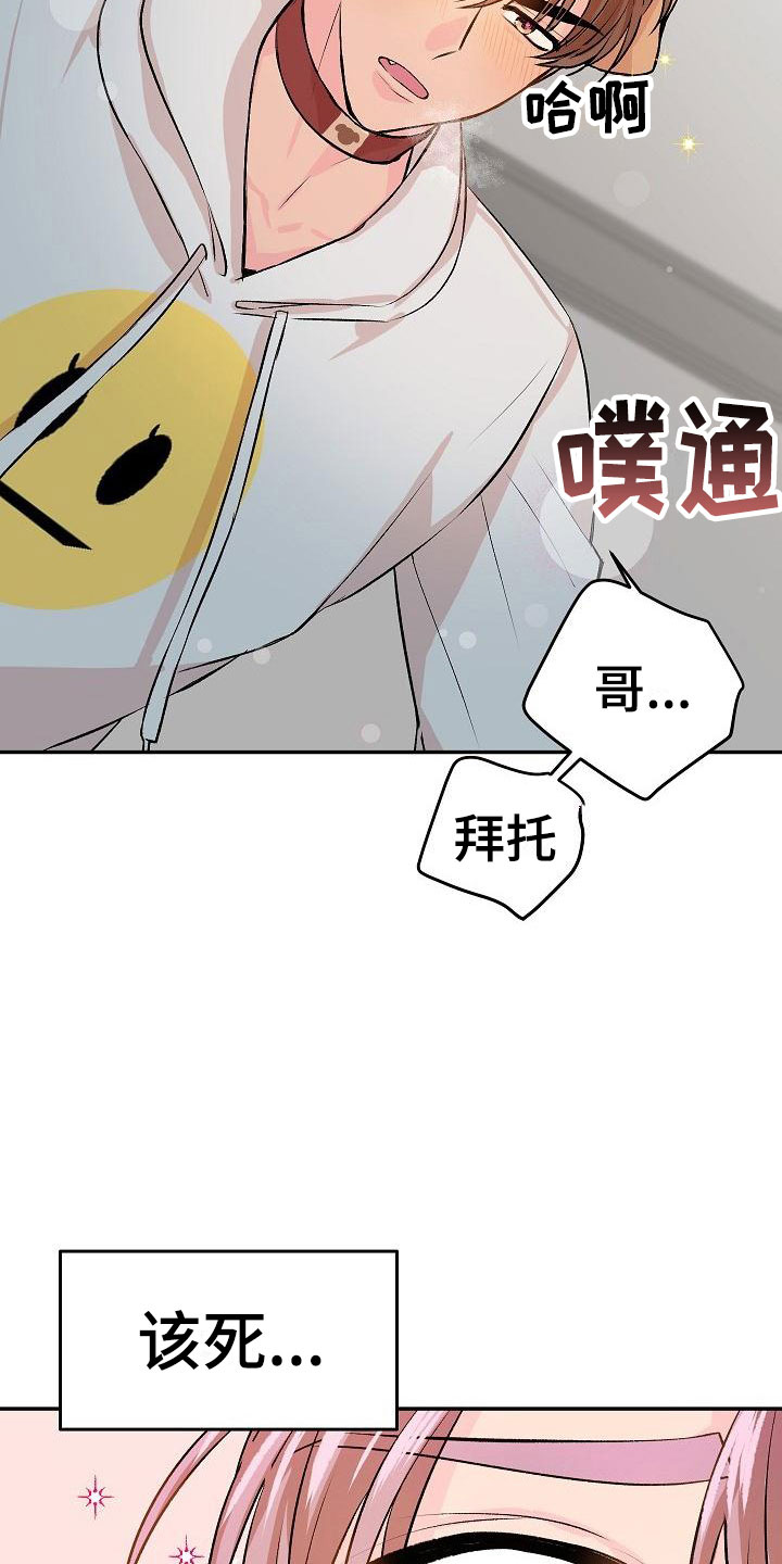 第22章：我的狗男孩：体验14