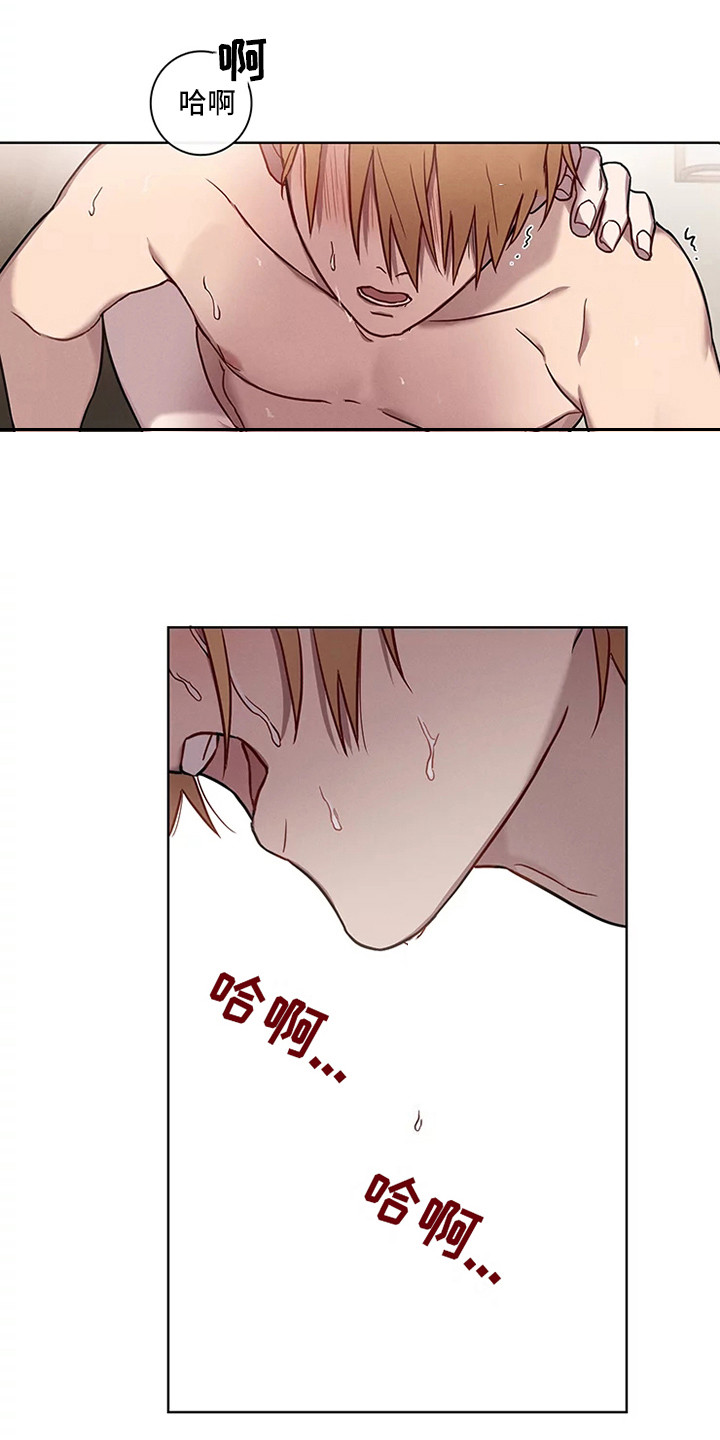 第52章：三角恋人：很有关系6
