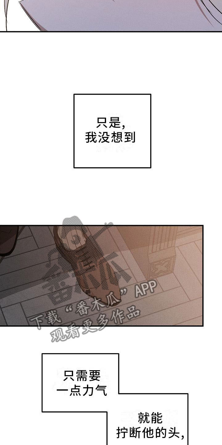 第4章：薰衣草花园：盗窃6