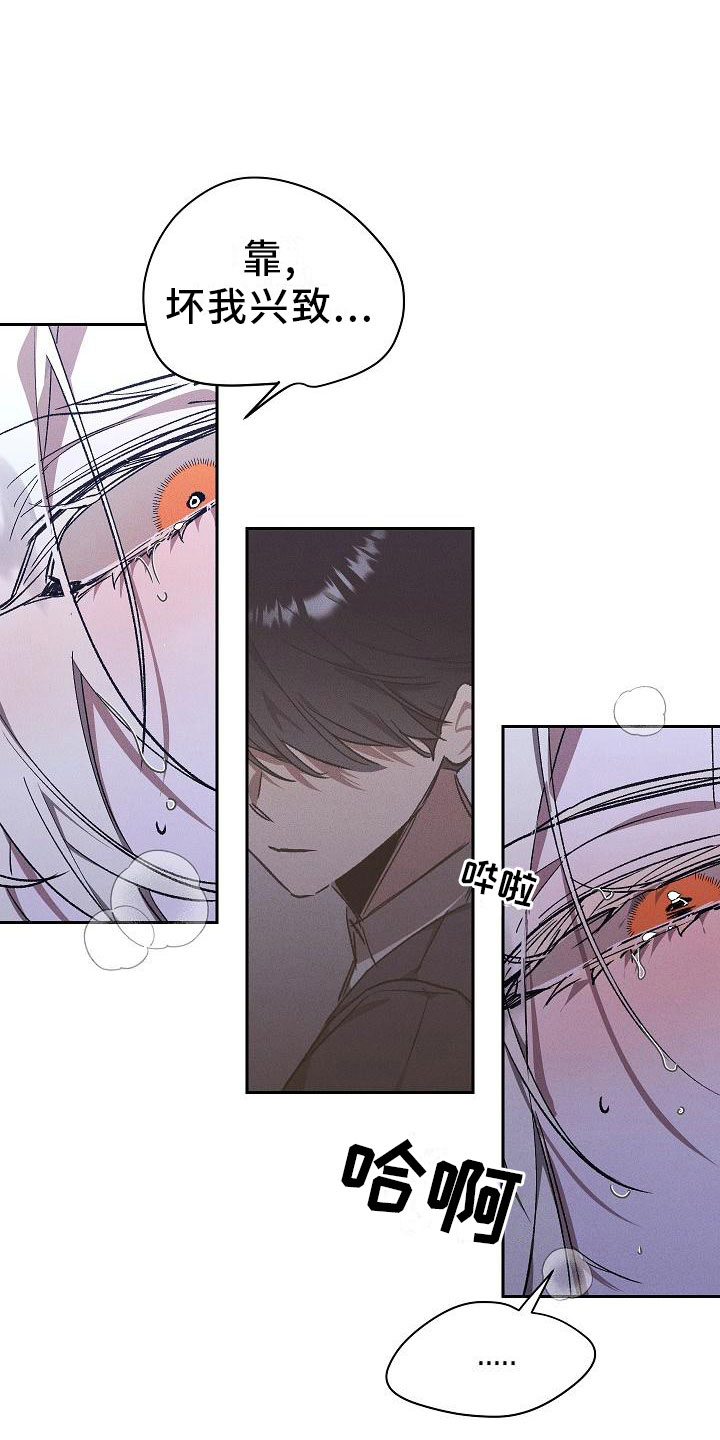 第1章：薰衣草花园：紫宝石5