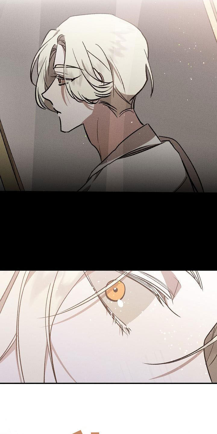 第6章：薰衣草花园：别走23