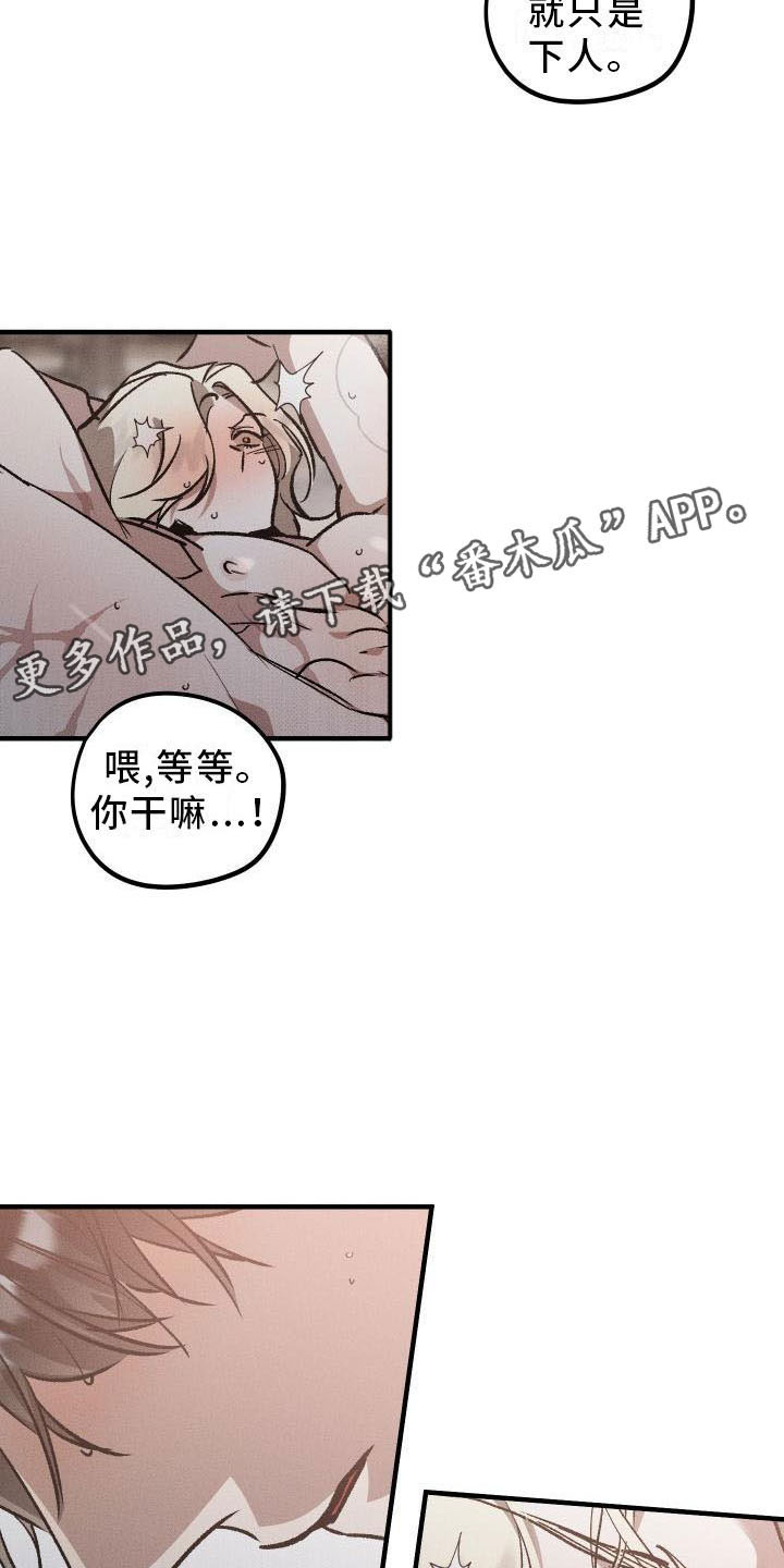 第9章：薰衣草花园：主人17