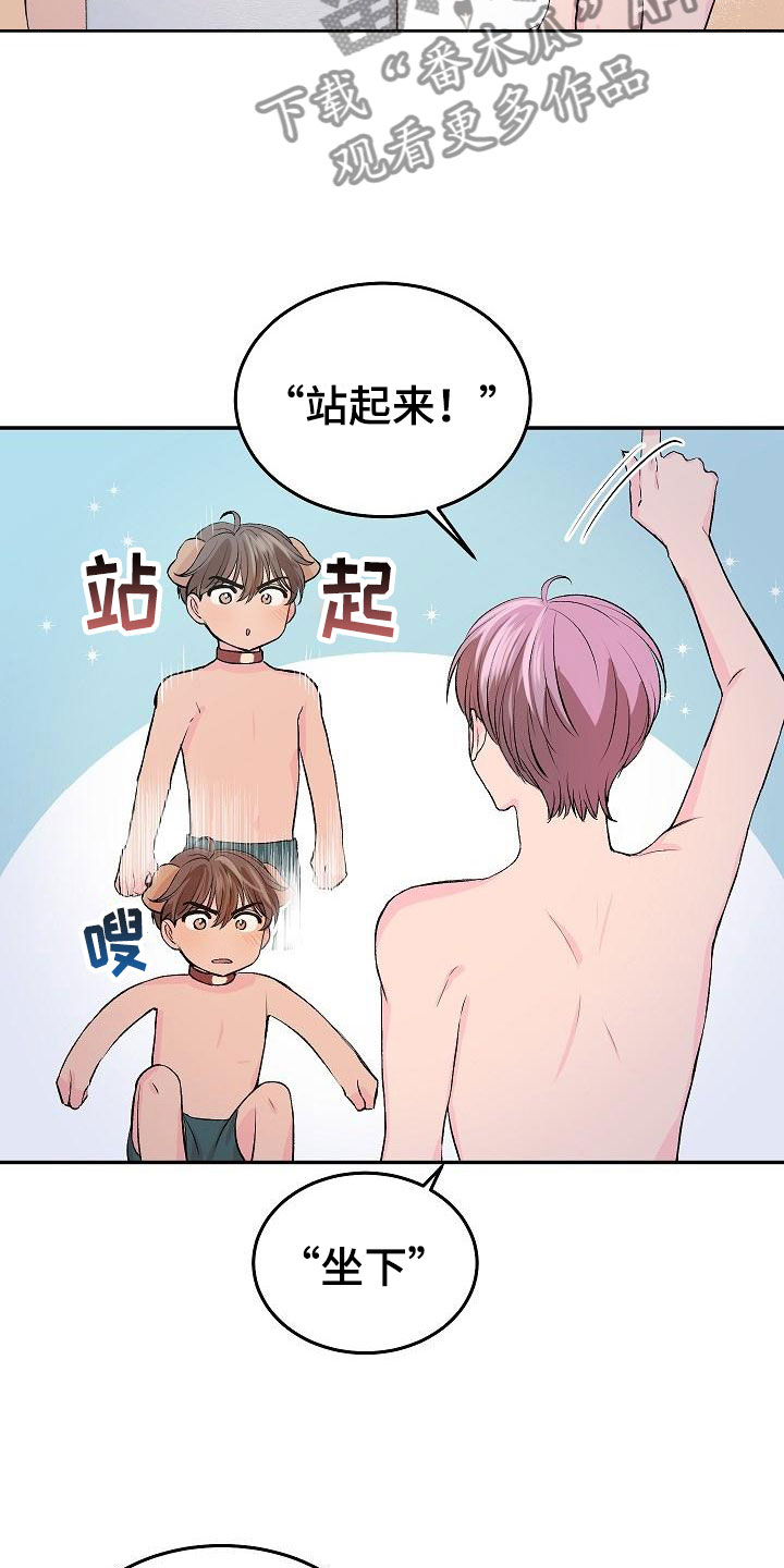 第24章：我的狗男孩：冷漠19