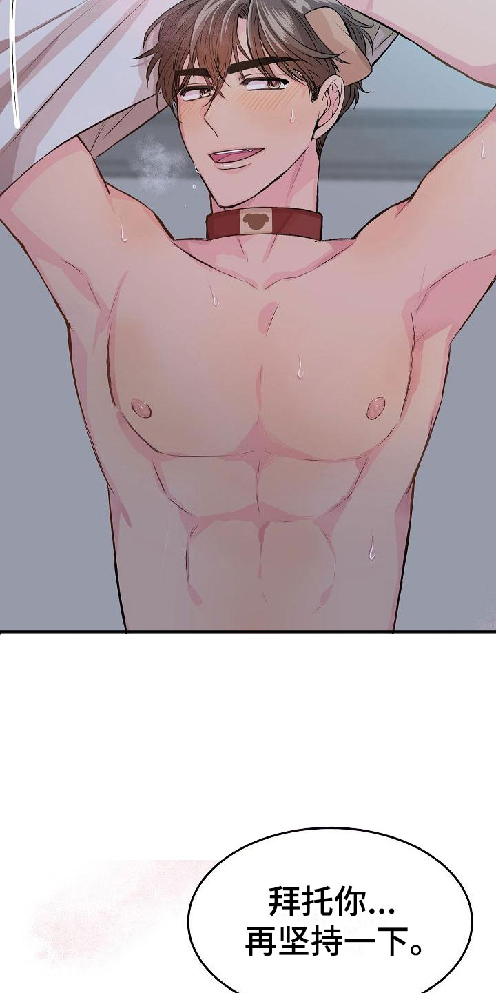 第23章：我的狗男孩：使用说明6
