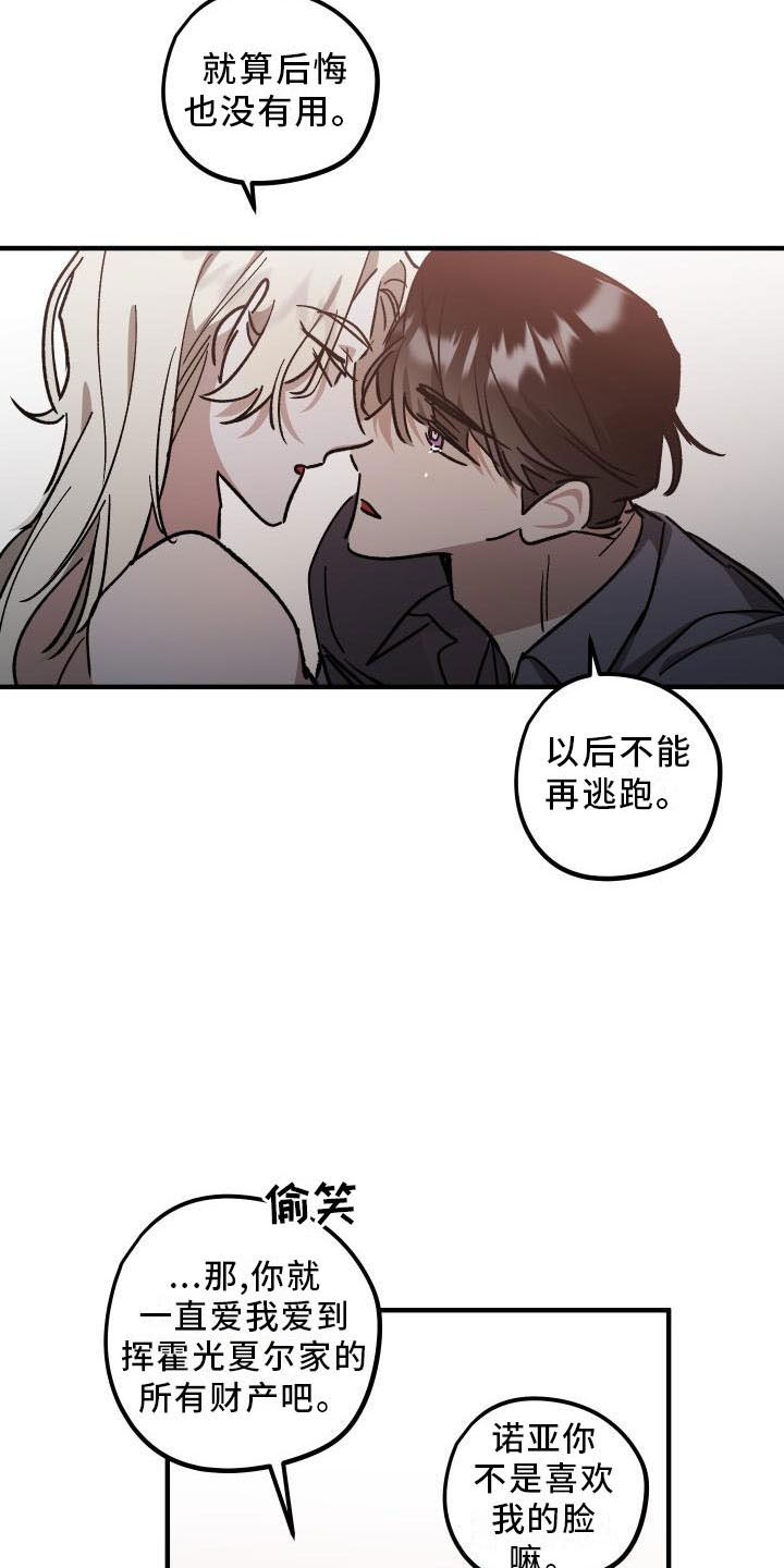第11章：薰衣草花园：挽留20