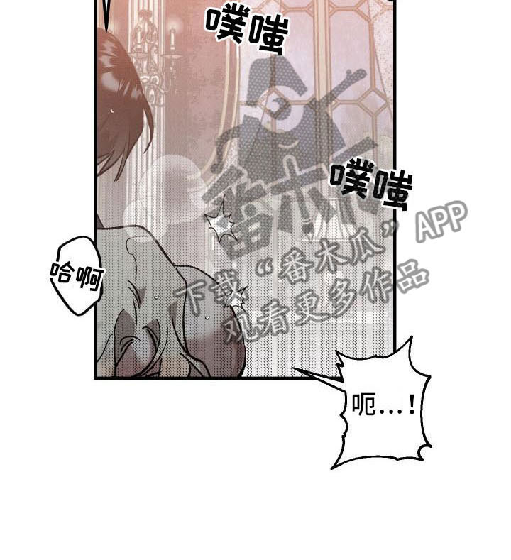 第9章：薰衣草花园：主人7