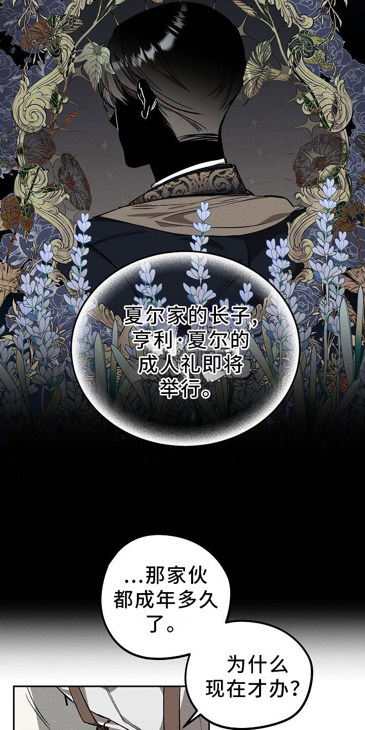 第1章：薰衣草花园：紫宝石16