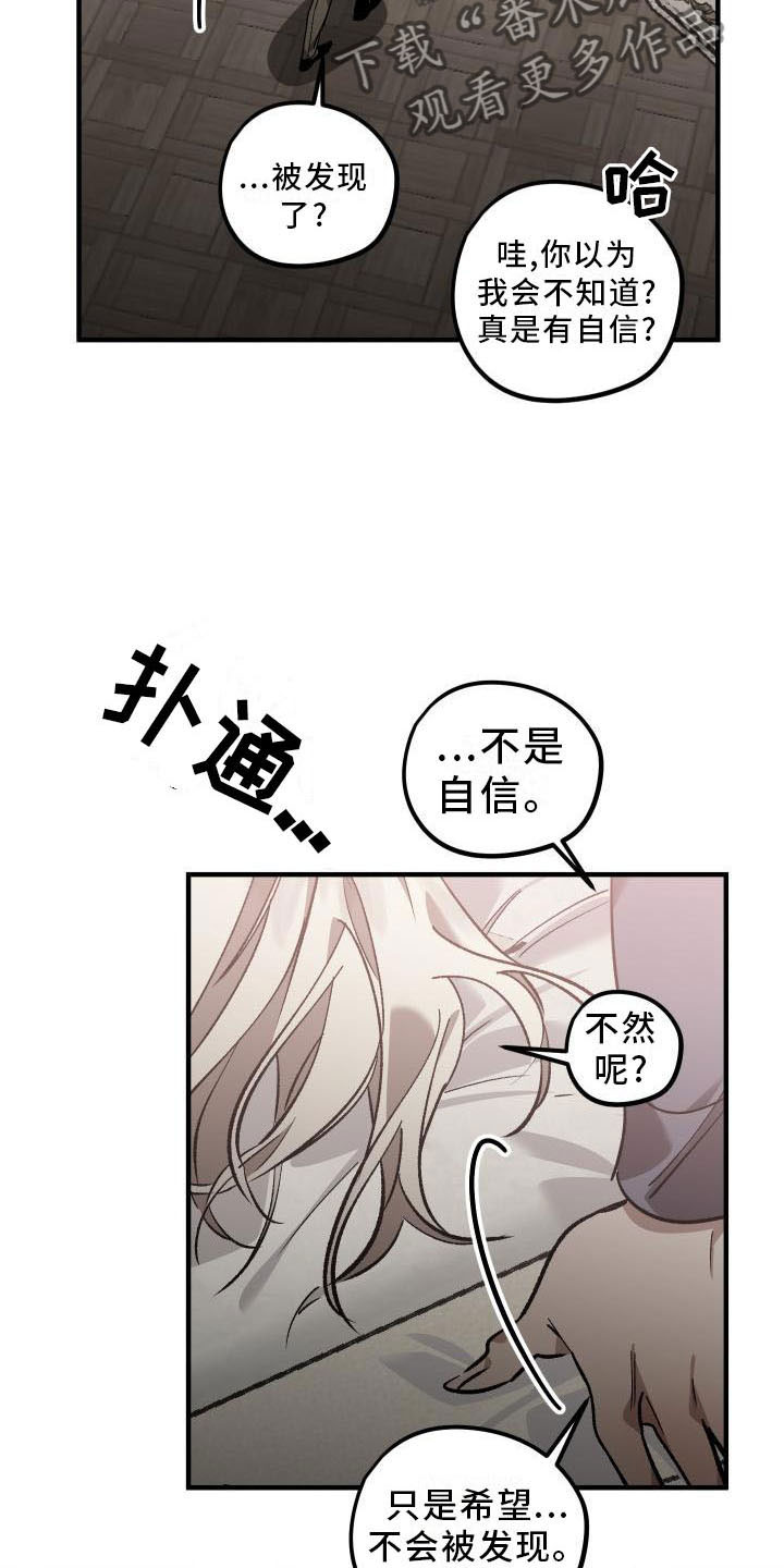 第12章：薰衣草花园：喜欢4