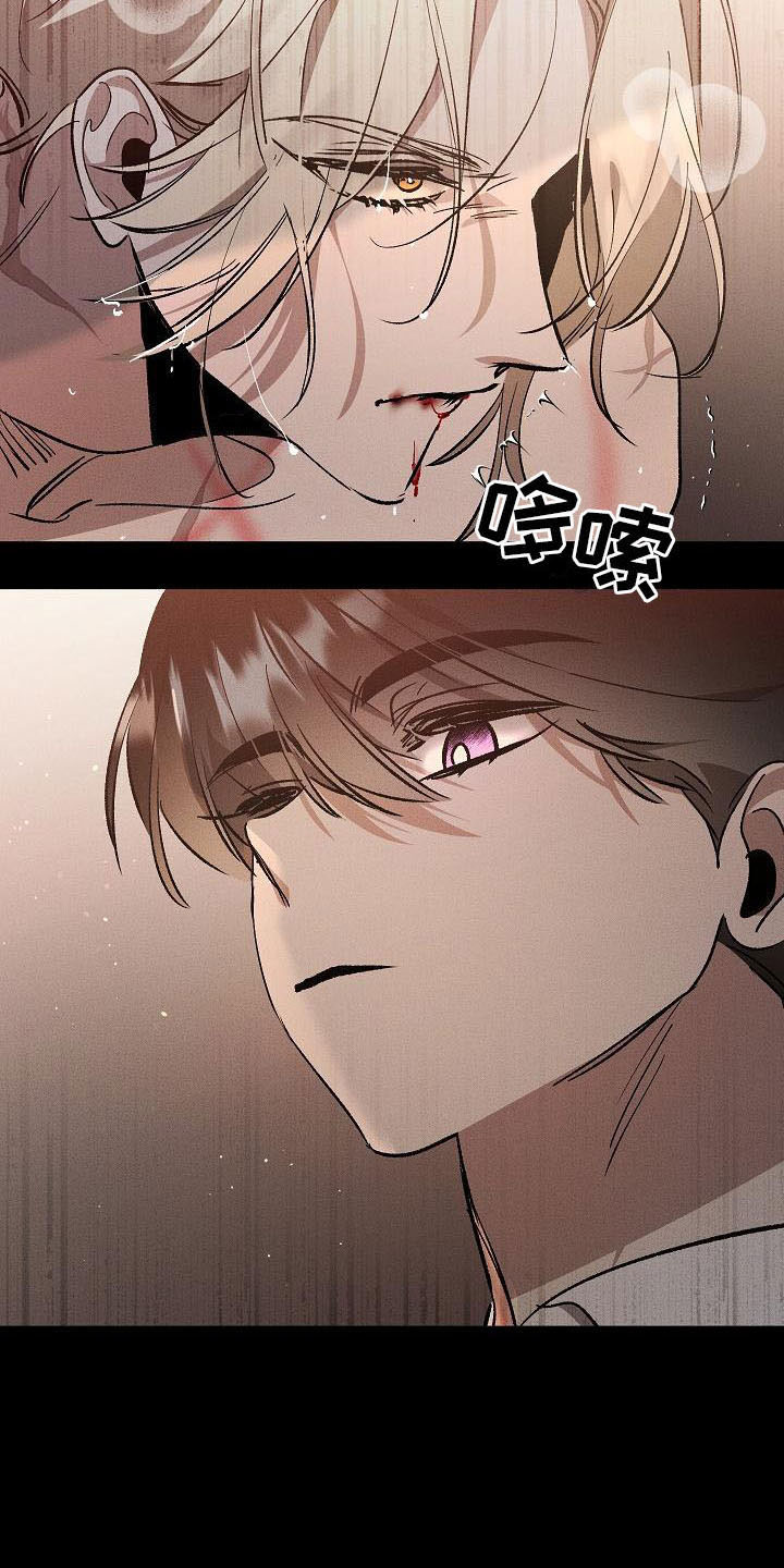 第5章：薰衣草花园：鞭打17