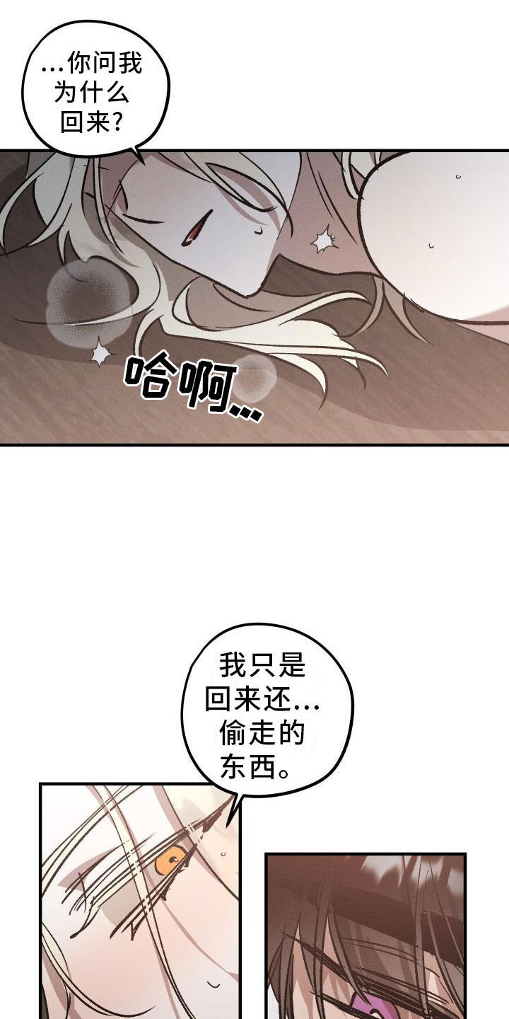 第9章：薰衣草花园：主人8