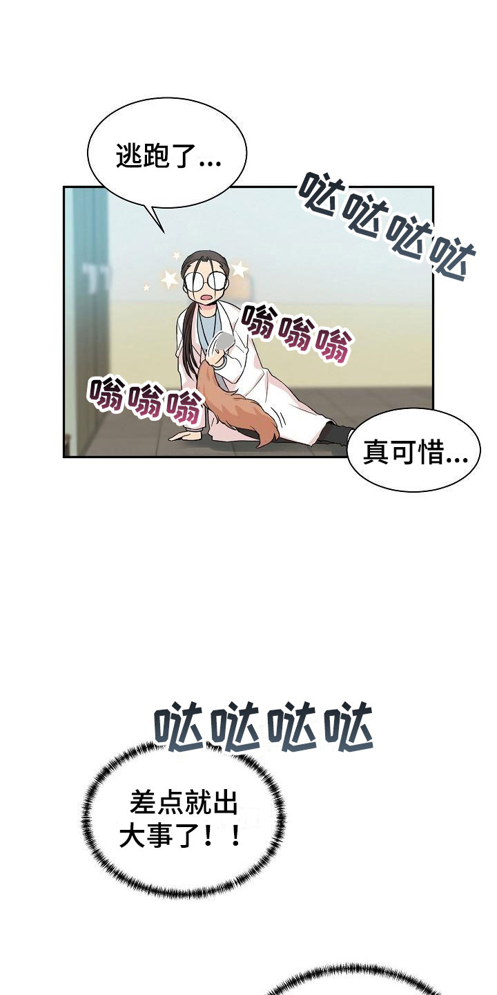 第20章：我的狗男孩：产品试用16