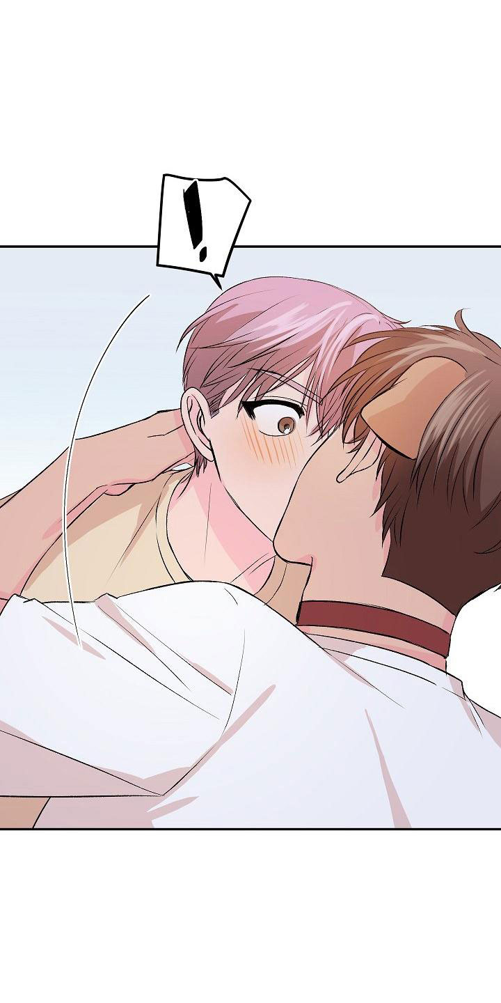 第27章：我的狗男孩：逃跑9