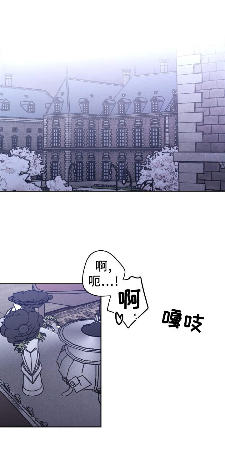 第1章：薰衣草花园：紫宝石1