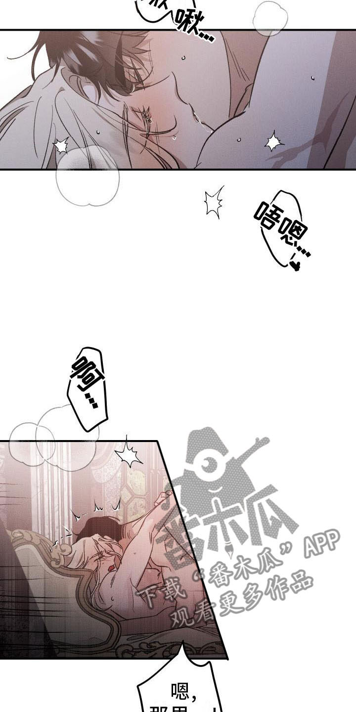 第12章：薰衣草花园：喜欢15