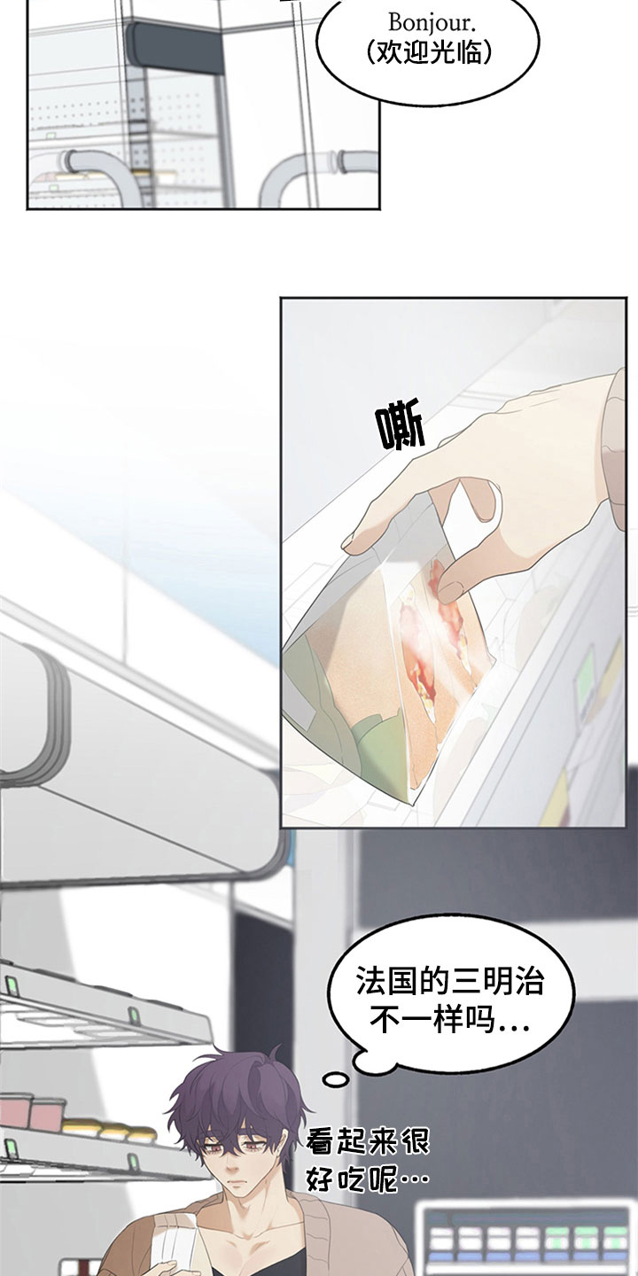 第2章：厌恶13