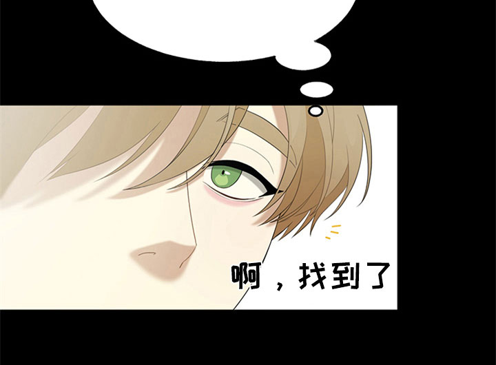 第6章：理想型18