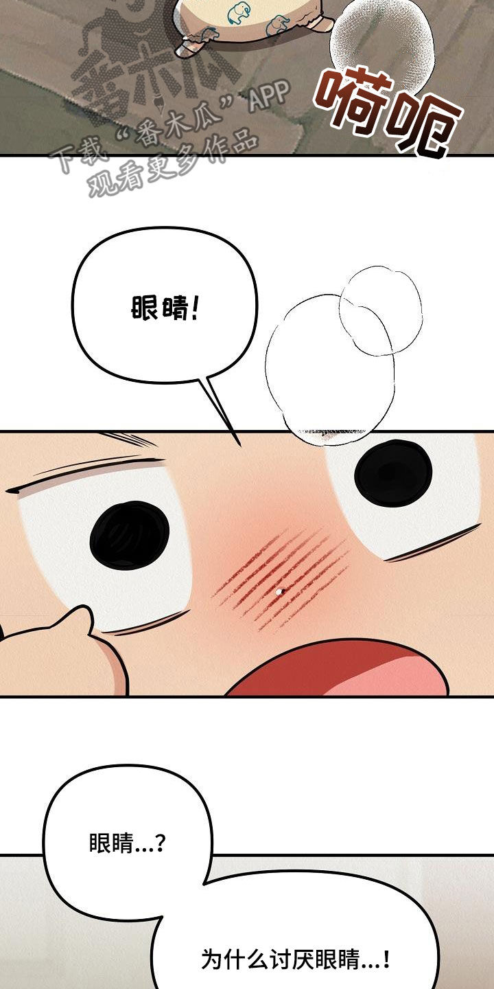 第62章：【番外】愤怒的海鸥16