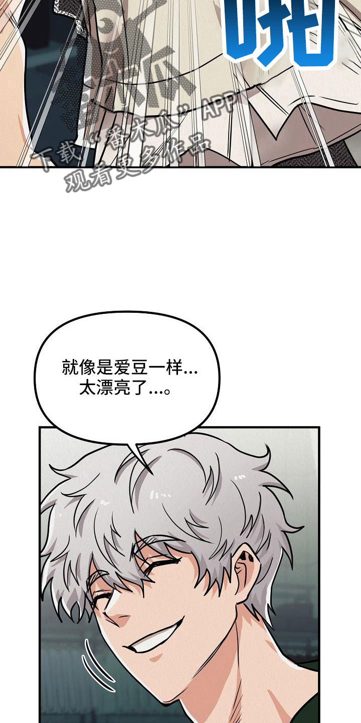 第56章：【第二季】太漂亮了12
