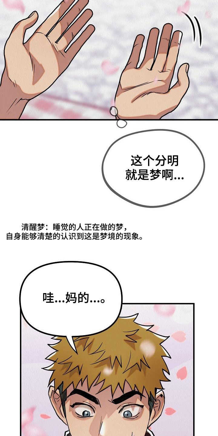 第17章：都是梦境31