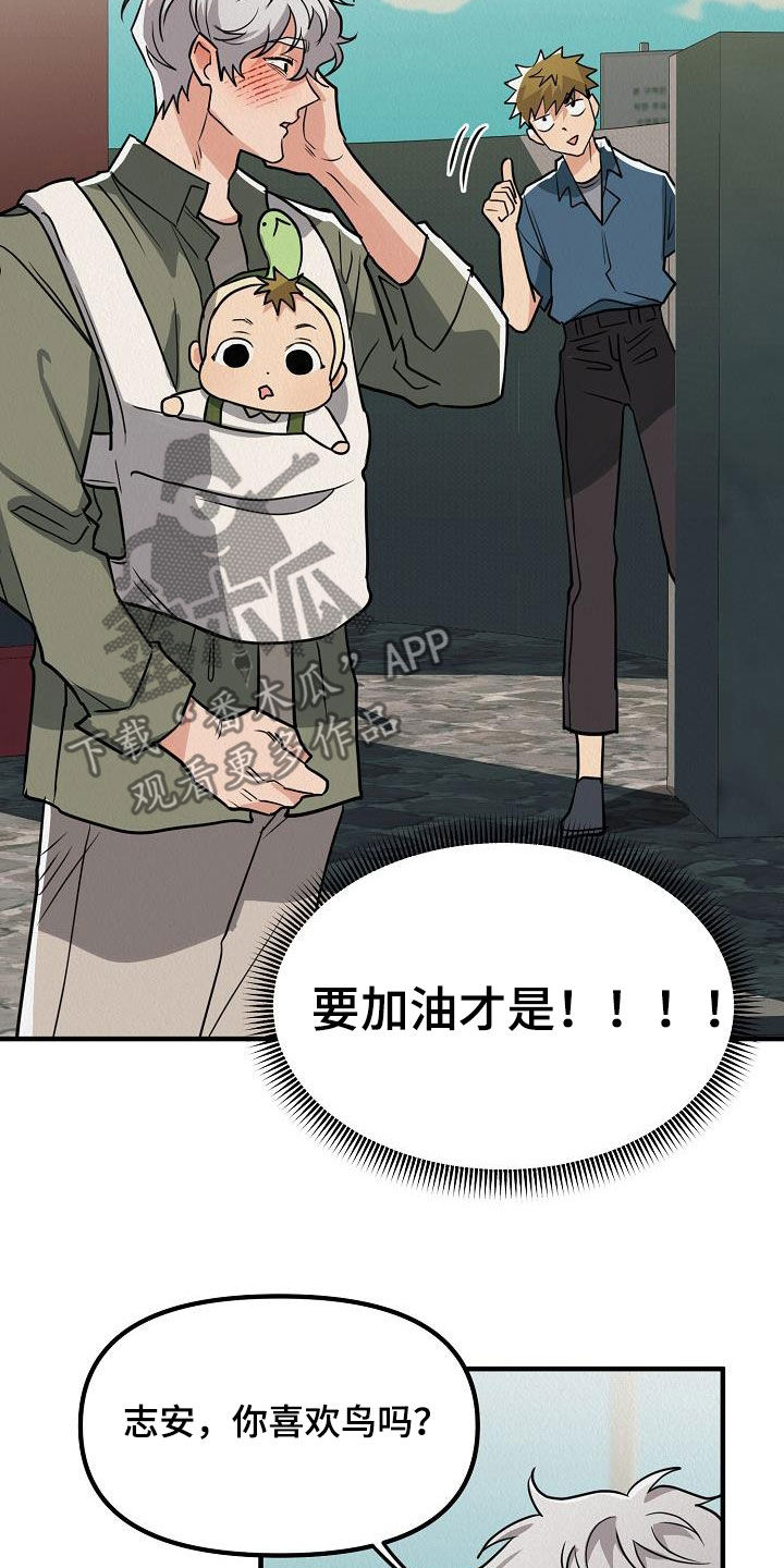 第62章：【番外】愤怒的海鸥26