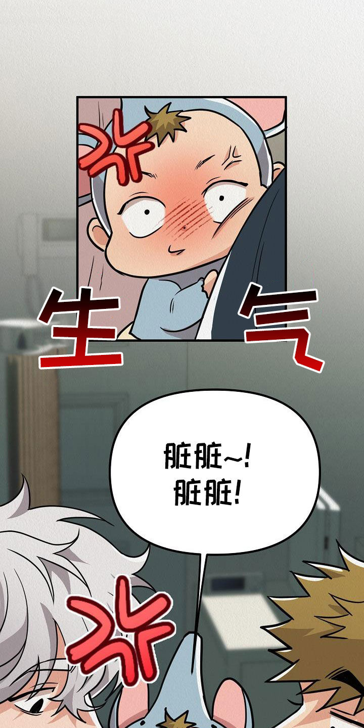 第62章：【番外】愤怒的海鸥13
