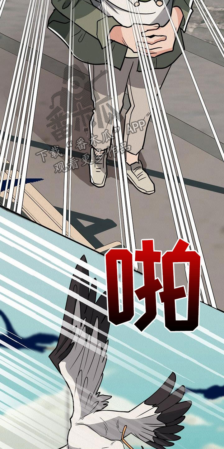 第62章：【番外】愤怒的海鸥31