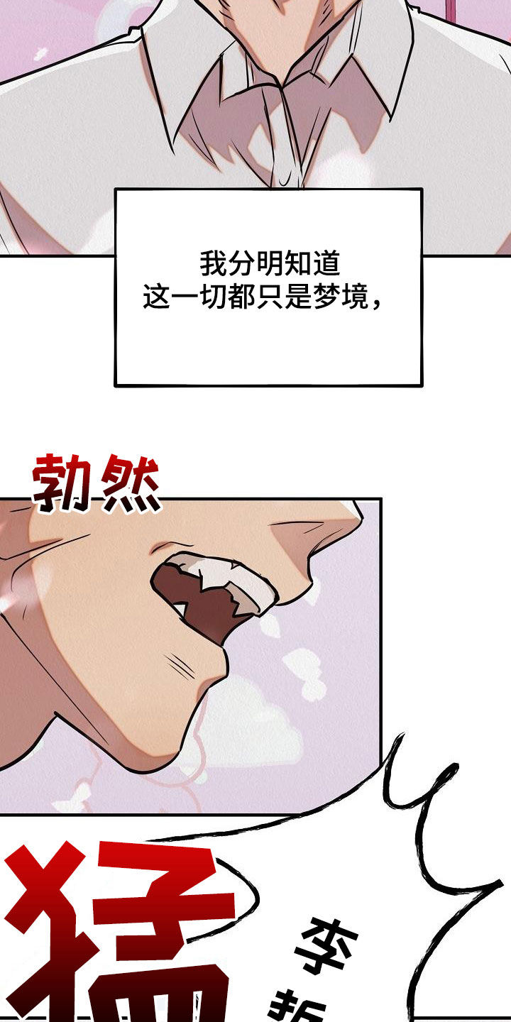 第17章：都是梦境33