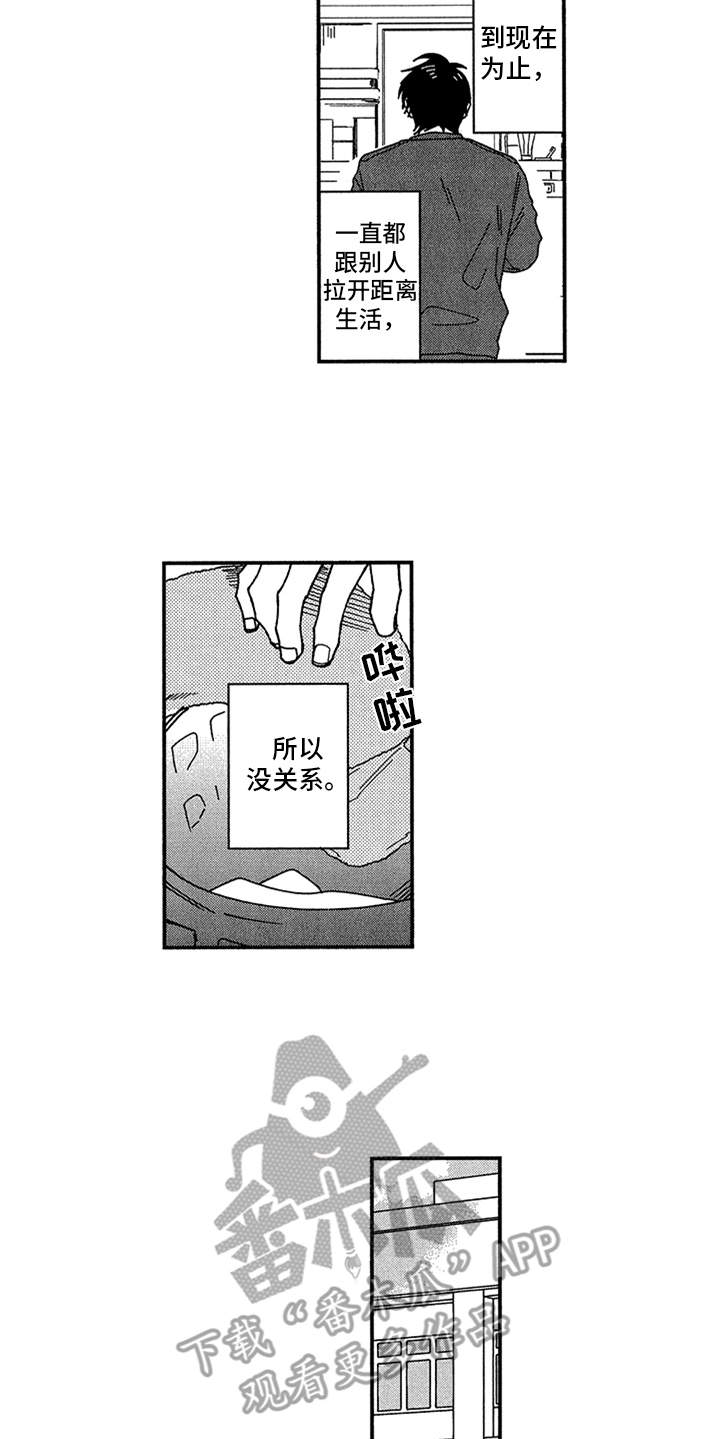 第8章：错觉13